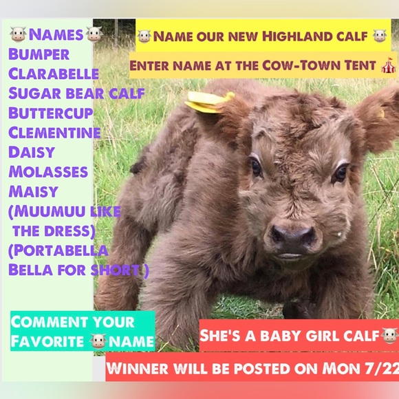 ๐ชWEDNESDAY TICKET WINNERS ON NEW LISTING NEXT DOOR! ๐ฃ - Picture 15 of 15